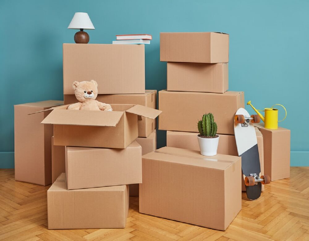 przeprowadzka-z-kotem-psem